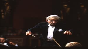 Bernstein Brahms Symphonies — foto 1