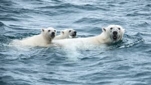 Odyssée sous les glaces — foto 1