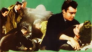 The Sleeping Tiger — foto 2