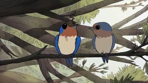 Birds — foto 2