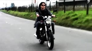 Pantera Vive — foto 1