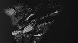 Bugs Without Morals — foto 1