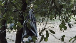 Oblio — foto 1