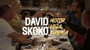 David Skoko: Motor, loza, kuhača — foto 1