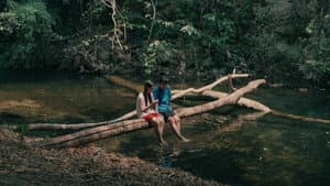 เฮมิเมตา — foto 1