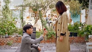 求婚 — foto 1