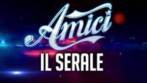 Amici di Maria De Filippi — foto 1
