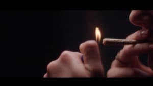 CASHED — foto 1