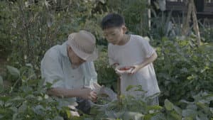 남매의 여름밤 — foto 7