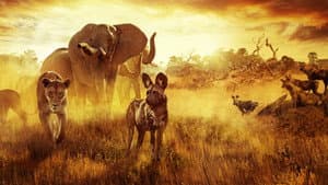 El paraíso que sobrevive: Un legado familiar — foto 4