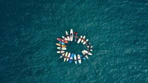 Row of Life — foto 6