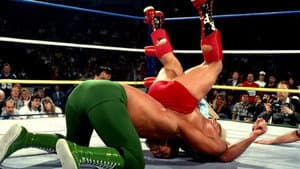 WCW WrestleWar 1989 — foto 2