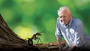 Attenborough and the Empire of the Ants — foto 11