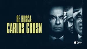 El escape de Carlos Ghosn — foto 9