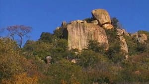 Episodio 19