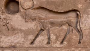Les animaux sacrés de l'Egypte ancienne — foto 1