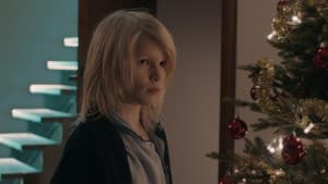 En fremmed kommer hjem — foto 1