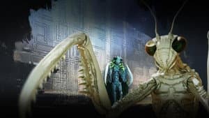 Episodio 9
