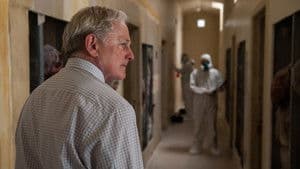 Sicario: Tierra de nadie — foto 11