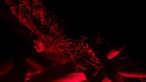The One Who Sees the Light Must Die — foto 2