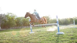 Storm Rider — foto 2