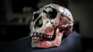 Atapuerca: El Misterio De La Evolucion Humana — foto 1