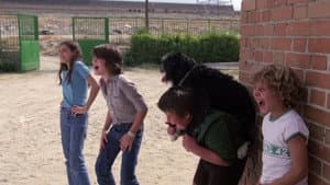 La guerra de los niños — foto 4