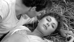 L'Amant de Lady Chatterley — foto 7