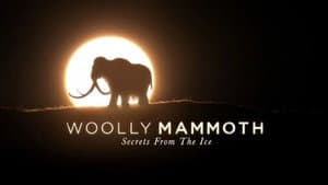 Woolly Mammoth: Secrets from the Ice — foto 2