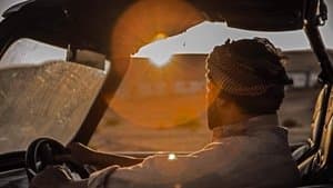 टाइगर ज़िंदा है — foto 12