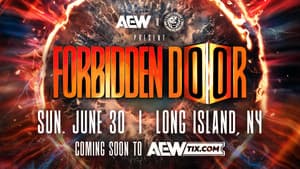 AEW x NJPW Present Forbidden Door 2024 — foto 6