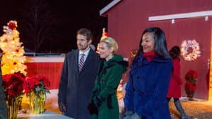 Romance at Reindeer Lodge — foto 10
