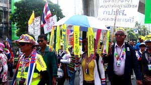 100 Times Reproduction of Democracy — foto 1
