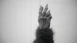 The Werewolf — foto 1
