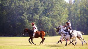 From Rodeo to Polo: The 1st HBCU Polo Team — foto 1