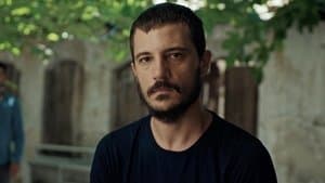 Episodio 8