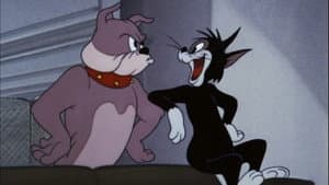 Smarty Cat — foto 2