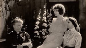 His Parisian Wife — foto 1