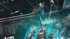 Deadliest Catch — foto 6