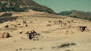 Parabola d'oro — foto 2