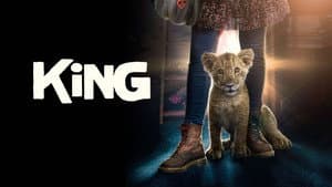 King: Regreso a casa — foto 11