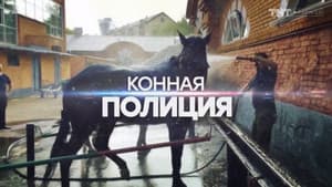 Episodio 9