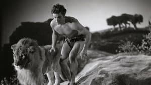 King of the Jungle — foto 1