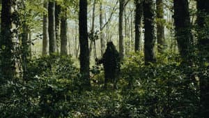 Alberi — foto 1