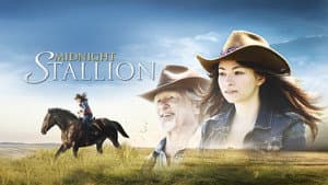 Midnight Stallion — foto 4