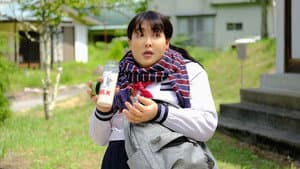どすこい！すけひら — foto 2