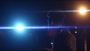 Stevie's Aliens — foto 1