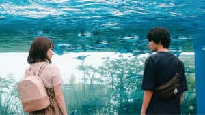 彼女が好きなものは — foto 1