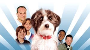Sox: A Family's Best Friend — foto 2