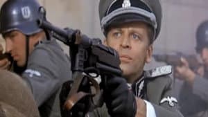 I leopardi di Churchill — foto 2